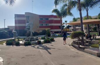 Investigan impacto de la obesidad en la salud cerebral en la UABC de Ensenada
