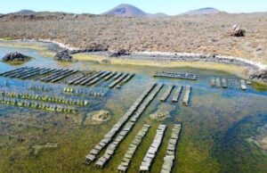 Presentan acuerdo para la obtención del permiso para Acuacultura Comercial