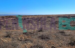 Localizan cuerpo en cauce de arroyo en el ejido Padre Kino de San Quintín