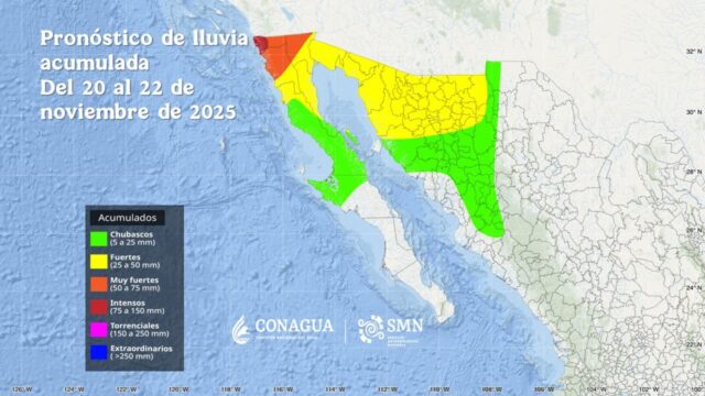 WhatsApp Image 2025-11-20 at 12.28.37 PM (1)