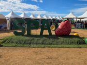 Celebran Expo Carreras 2025 en el CECyTE de San Quintín