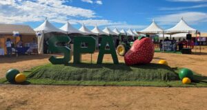 Celebran Expo Carreras 2025 en el CECyTE de San Quintín