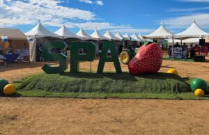 Celebran Expo Carreras 2025 en el CECyTE de San Quintín