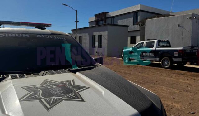 Patrullas SQ dic 2025