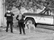 Niño de 4 años es atacado por perros en domicilio de Tijuana