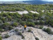 Despliegan búsqueda de hombre que cuidaba chivos en la Sierra de Juárez