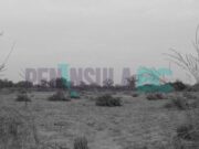 Investigan a fraccionadores por fraude en venta de terrenos en San Quintín