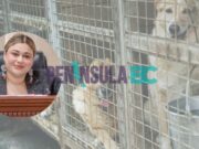 Propone Michelle Tejeda prohibir la venta irregular de animales en BC