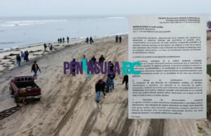 Piden a presidenta y regidores no degradar la Dirección de Ecología de San Quintín