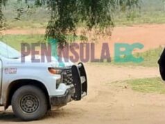 Localizan dos cuerpos en camino hacia el rancho El Tule en Ensenada