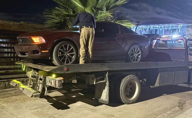 WhatsApp Image 2026-01-08 at 12.45.40 PM (1)