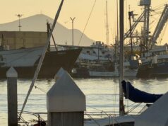 “Esconden” ferry en espacios de Asipona en Ensenada y podría ser un catamarán