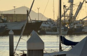 “Esconden” ferry en espacios de Asipona en Ensenada y podría ser un catamarán