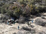 Destaca Marina del Pilar desarticulación de laboratorio de drogas en Valle de la Trinidad