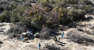 Destaca Marina del Pilar desarticulación de laboratorio de drogas en Valle de la Trinidad