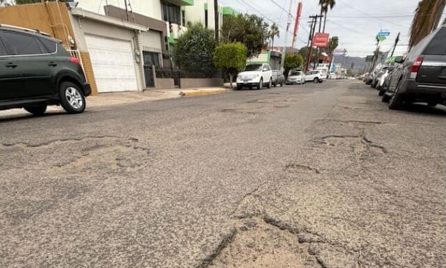 Av Vicente Guerrero (1)