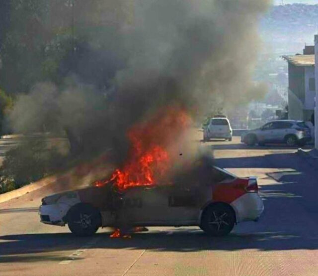 FB_IMG_1771788085392