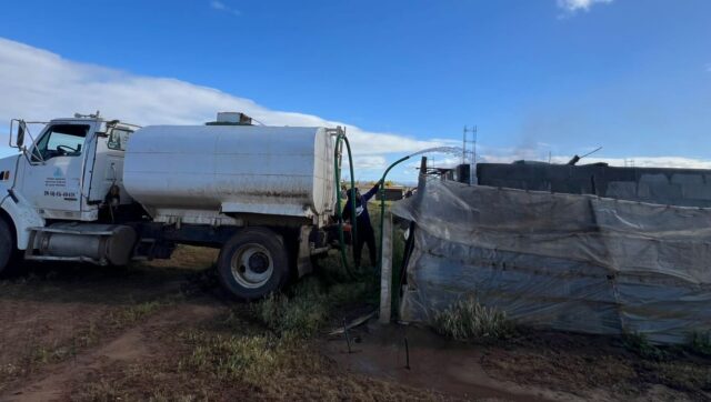 WhatsApp Image 2026-02-20 at 11.29.09 AM (1)