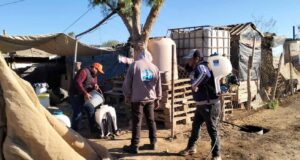 Llevan jornada de fumigación contra la Rickettsiosis en la colonia López de San Quintín