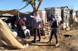Llevan jornada de fumigación contra la Rickettsiosis en la colonia López de San Quintín