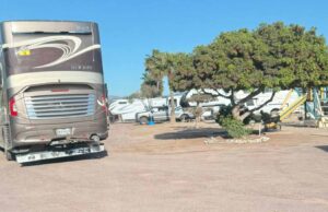 Apoyaron a caravana de turistas extranjeros en medio de hechos violentos en todo Baja California
