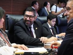 Se hará análisis responsable del Plan B de la Reforma electoral en el Senado: Ayala