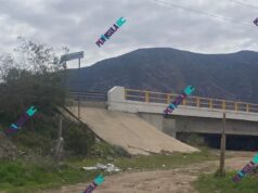 Localizan cuerpo cerca de un restaurante en el Valle de Guadalupe
