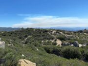 Declaran liquidado el incendio cerca de San Pedro Mártir en los límites de SQ y Ensenada