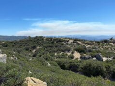 Declaran liquidado el incendio cerca de San Pedro Mártir en los límites de SQ y Ensenada