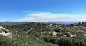 Declaran liquidado el incendio cerca de San Pedro Mártir en los límites de SQ y Ensenada