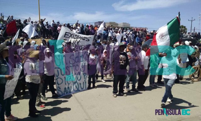 11 años 17 Marzo SQ 2015