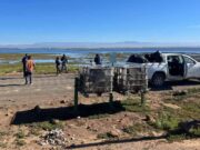 Limpian camino que conduce a los campos ostrícolas de San Quintín