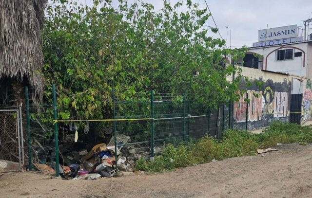 WhatsApp Image 2026-03-04 at 12.42.48 PM (1)