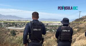 Localizan cadáver en un cerro de San Carlos