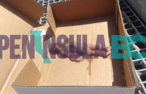 Localizan feto humano en parcela agrícola de BerryMex en San Quintín