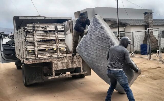 WhatsApp Image 2026-04-06 at 1.15.54 PM (1)