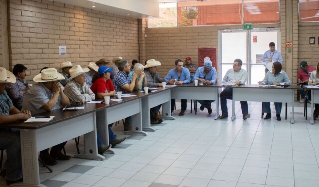 WhatsApp Image 2026-04-14 at 5.58.33 PM (1)