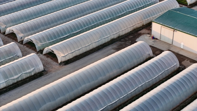 cosmin-andrei-buzamat-j4Y4jsP5ok4-unsplash