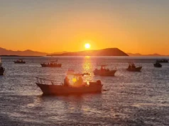 Celebran torneo de pesca deportiva «Puro Fierro» en Bahía de los Ángeles