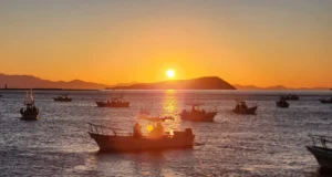 Celebran torneo de pesca deportiva «Puro Fierro» en Bahía de los Ángeles