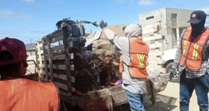 Recolectan 4 toneladas de basura de traspatio en San Vicente