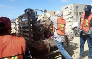 Recolectan 4 toneladas de basura de traspatio en San Vicente