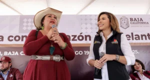 Consolida Marina del Pilar a BC como sede nacional de la Muestra Internacional de Cibe