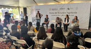 Acuden decenas de solicitantes a primer Feria del Empleo Agrícola en San Quintín