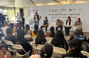 Acuden decenas de solicitantes a primer Feria del Empleo Agrícola en San Quintín