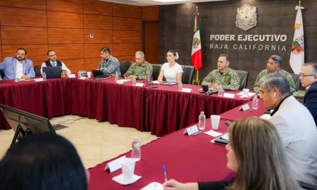 Marina seguridad (1)