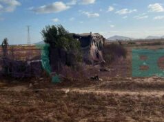 Localizan cuerpo putrefacto de una mujer en vivienda improvisada en San Quintín