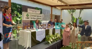 Asume Mathilde Rivera la presidencia del Consejo Agrícola de Baja California