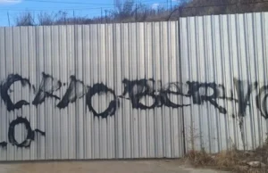 Detienen a dos menores por «grafitear» propiedad en Ensenada