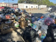 Recaudan más de 25 mil kilos de productos reciclables en el Punto Verde Riviera